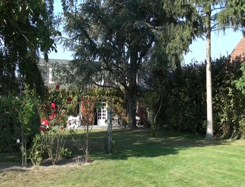 Hotel Le Petit Pont Moncé-en-Belin Exterior foto